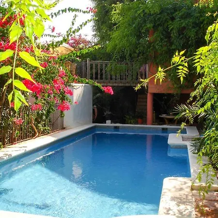 Navila Estudio En La Piscina 이비자타운